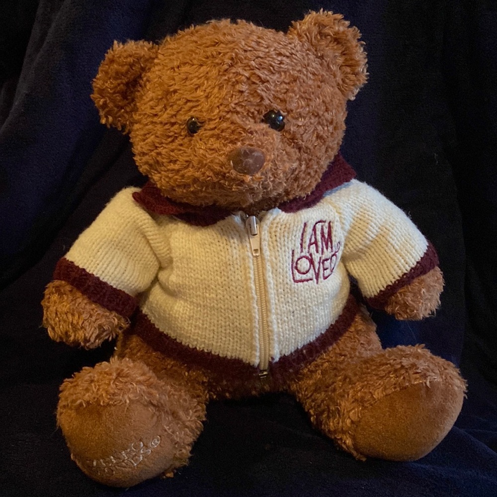 Helzberg Diamonds Bear with zip sweater